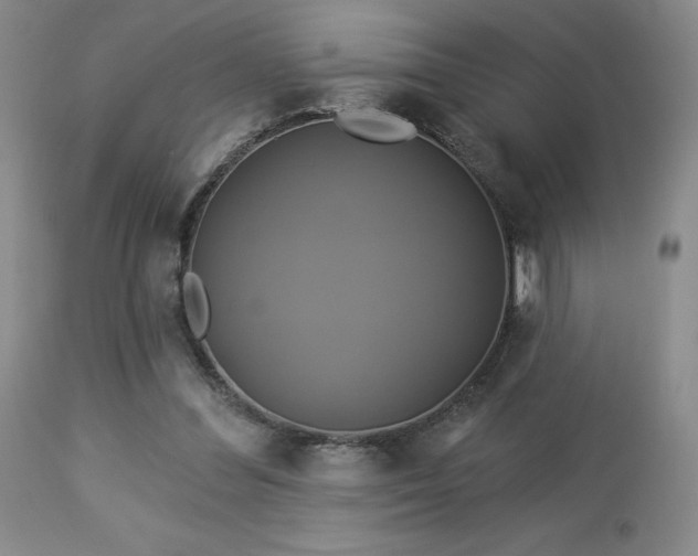 X0000113050300200908271537