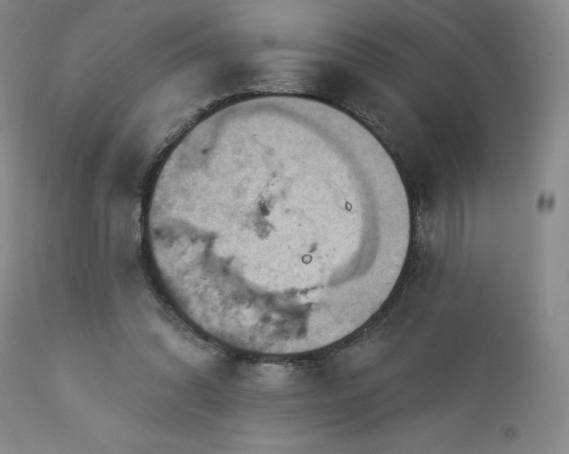 X0000113050302200908271537