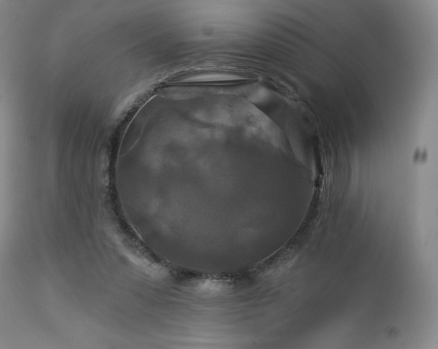 X0000113050303200908271537