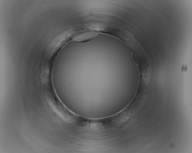 X0000113050304200908271537