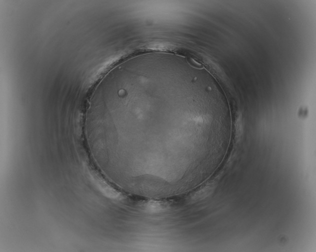 X0000113050305200908271537