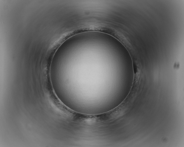 X0000113050306200908271537