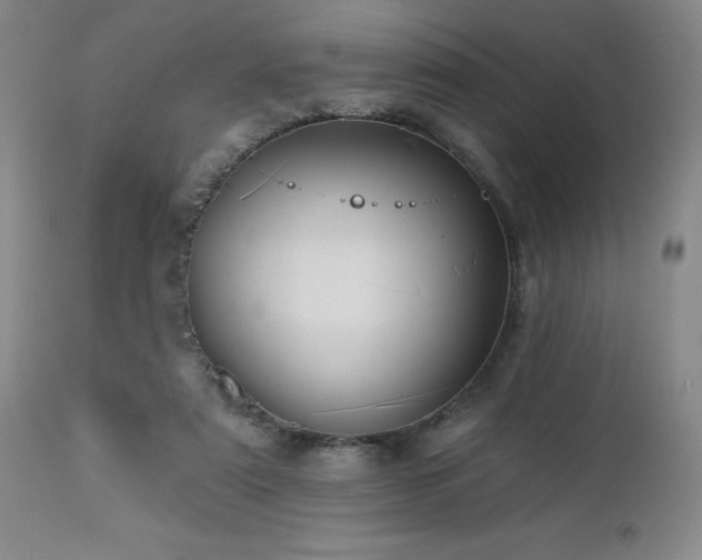 X0000113050307200908271537