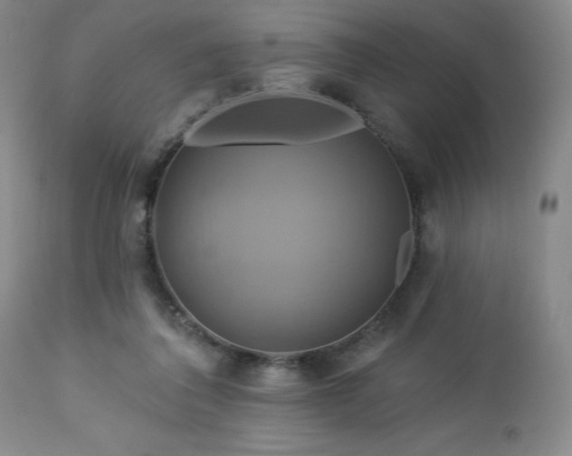 X0000113050308200908271537