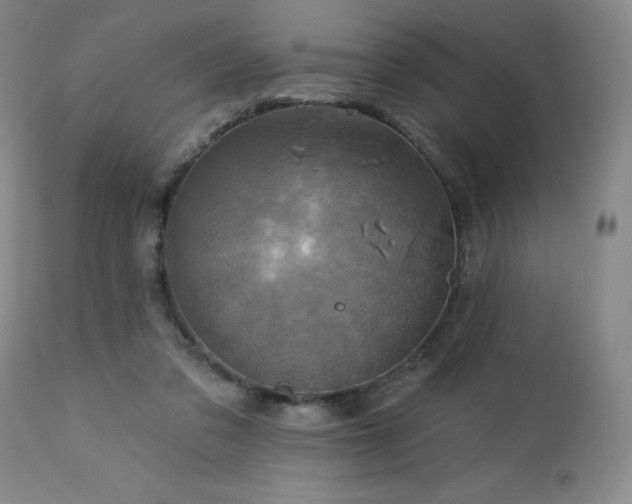 X0000113050309200908271537