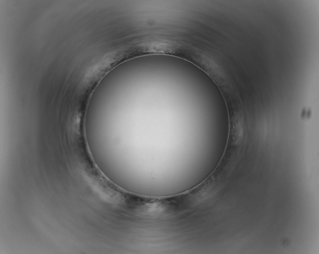 X0000113050310200908271537