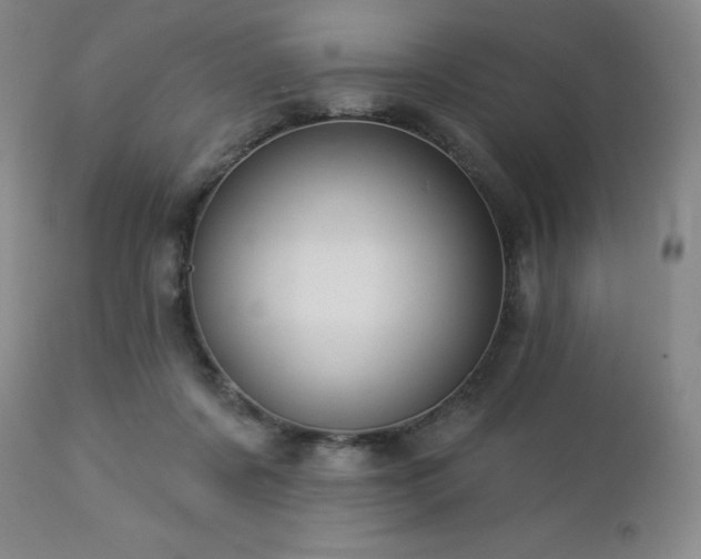 X0000113050311200908271537