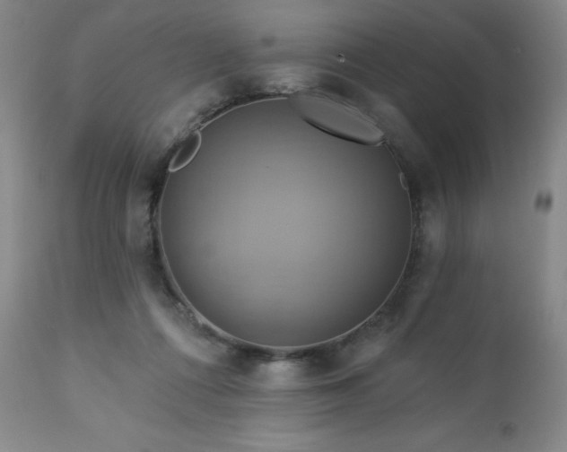 X0000113050312200908271537