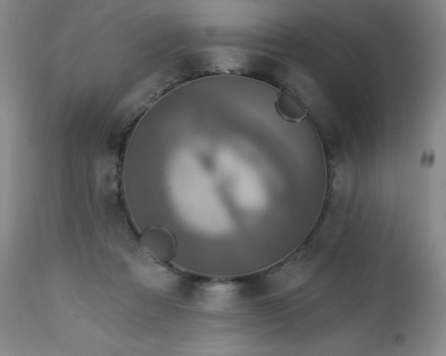 X0000113050313200908271537