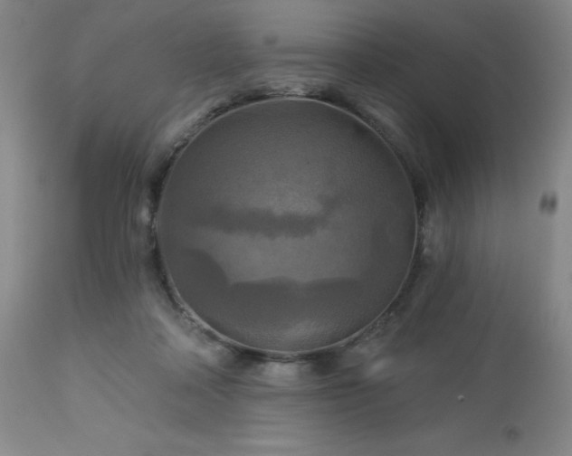 X0000113050314200908271537