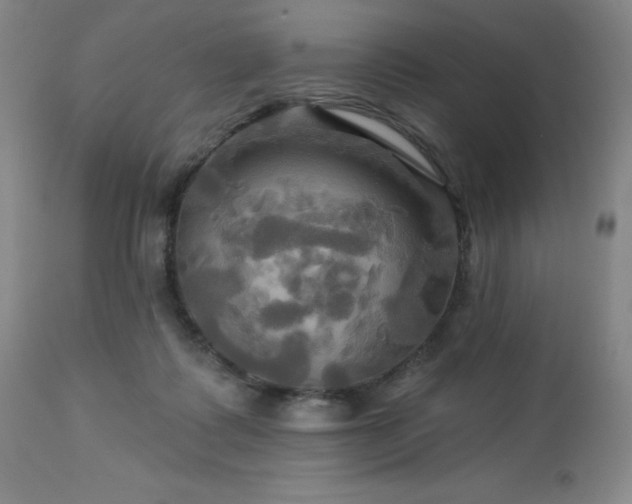 X0000113050315200908271537