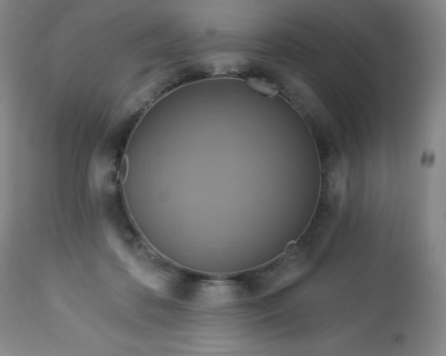 X0000113050316200908271537