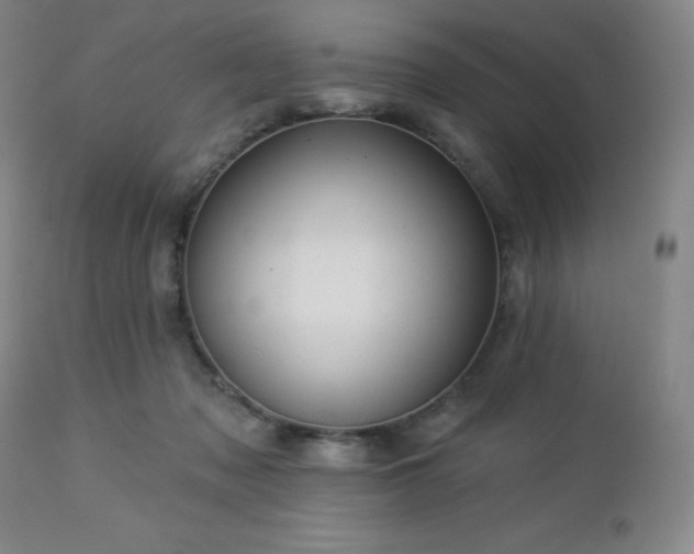 X0000113050317200908271537