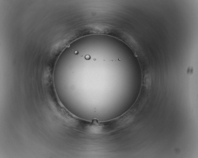 X0000113050318200908271537