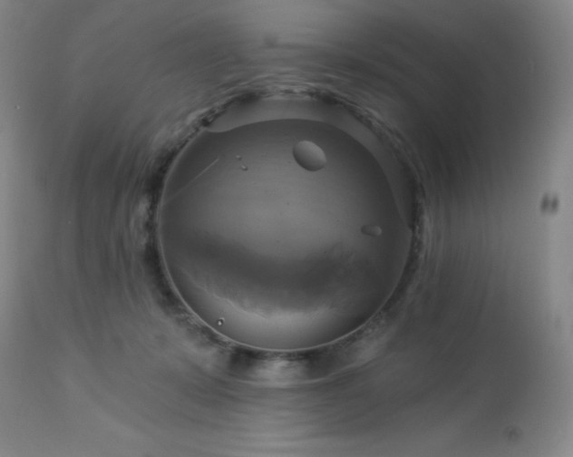 X0000113050319200908271537