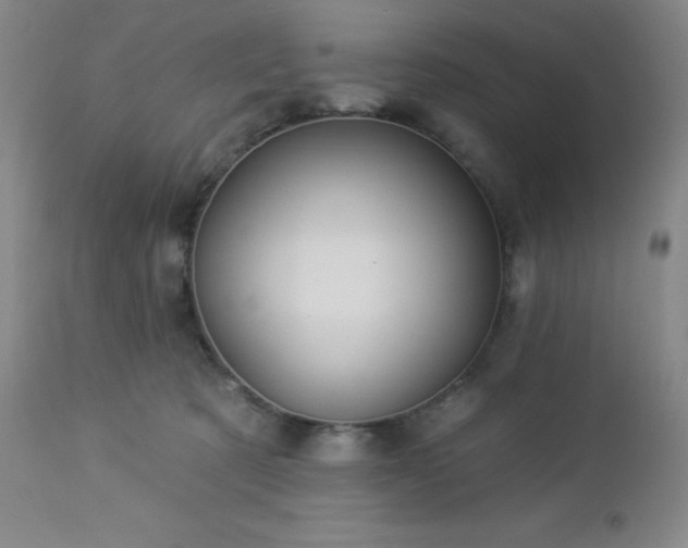 X0000113050321200908271537