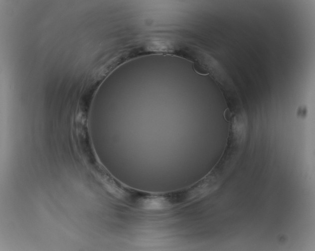 X0000113050322200908271537