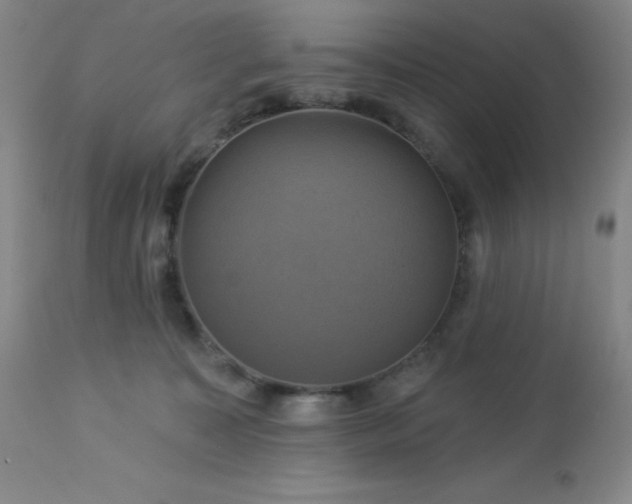 X0000113050323200908271537