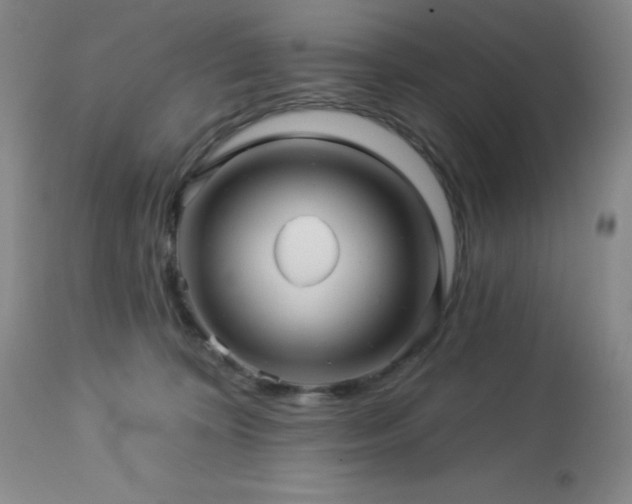 X0000113050324200908271537