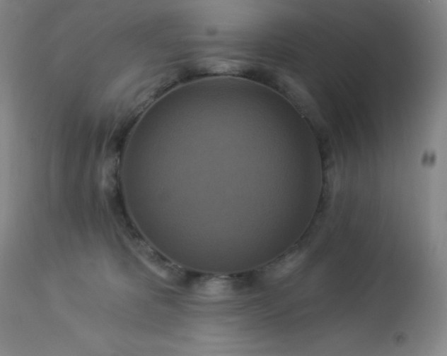 X0000113050325200908271537