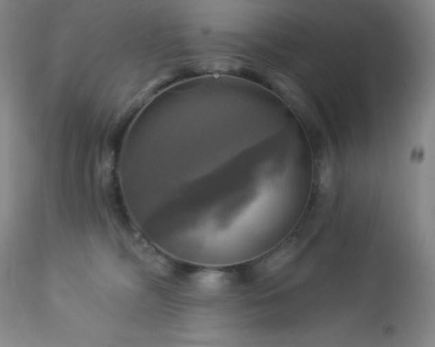 X0000113050326200908271537