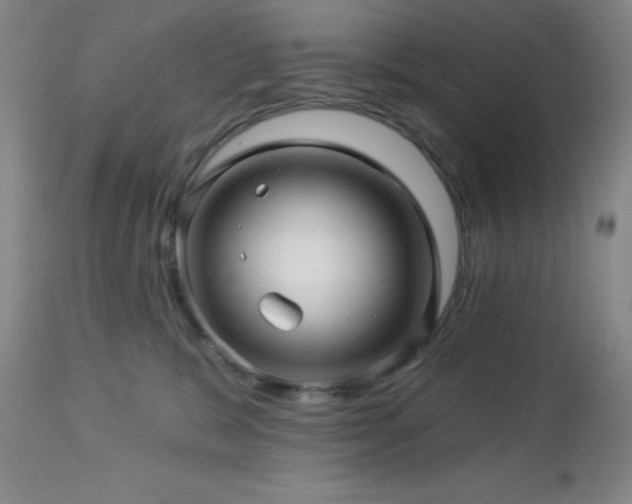 X0000113050327200908271537