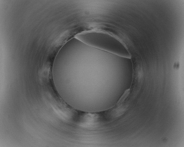 X0000113050328200908271537