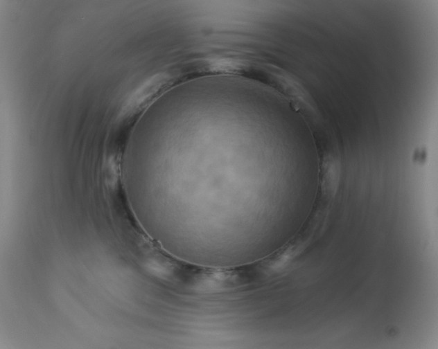 X0000113050329200908271537