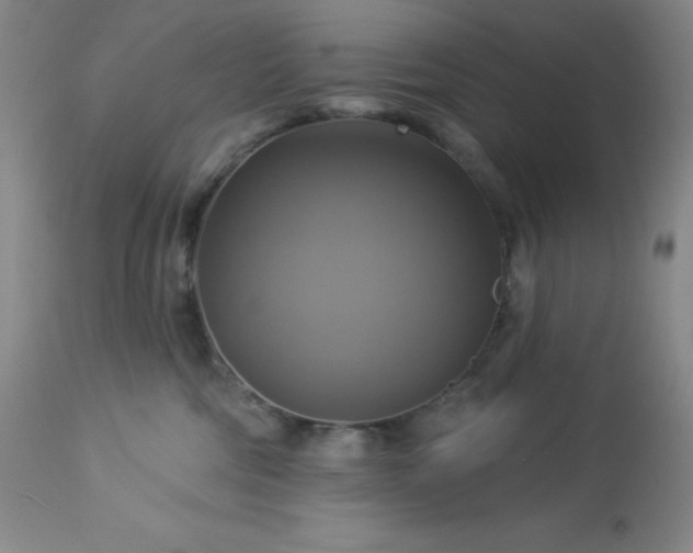 X0000113050330200908271537