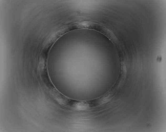 X0000113050331200908271537