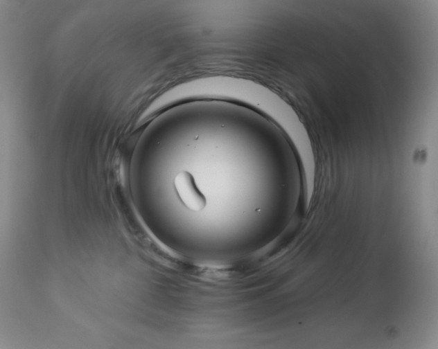 X0000113050332200908271537