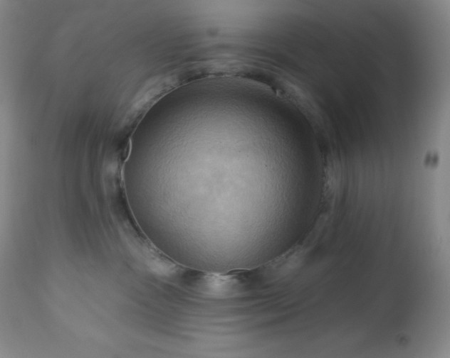 X0000113050333200908271537