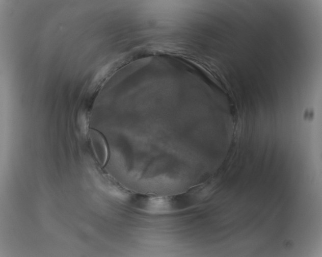 X0000113050335200908271537