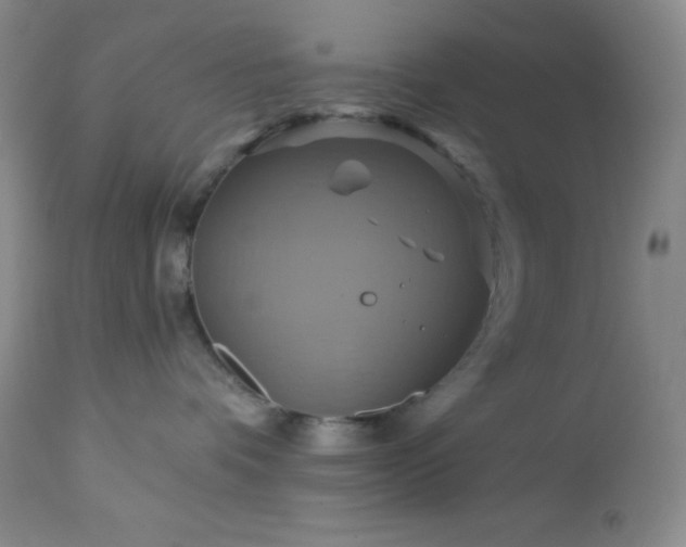 X0000113050336200908271537