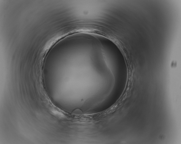 X0000113050337200908271536