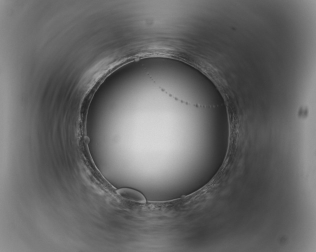 X0000113050338200908271536