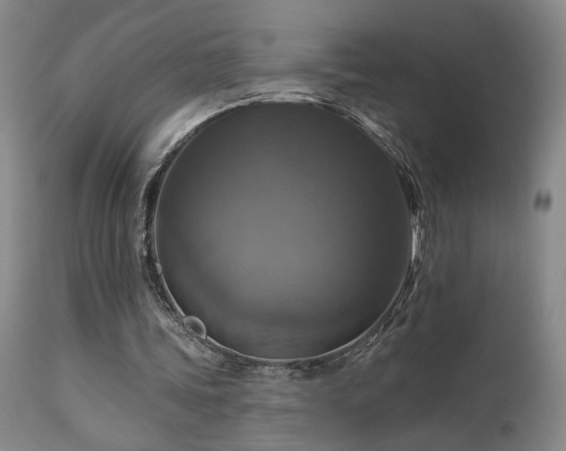 X0000113050339200908271536