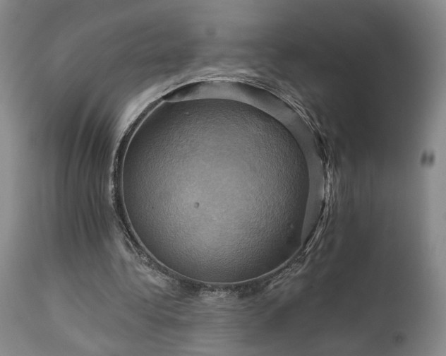 X0000113050340200908271536