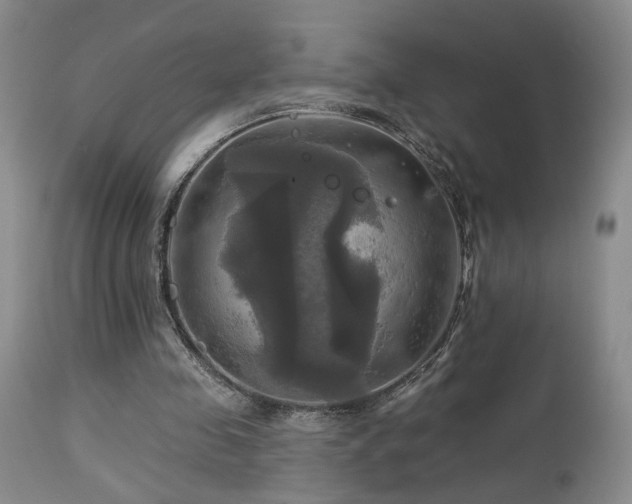 X0000113050341200908271536