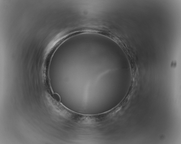 X0000113050343200908271536