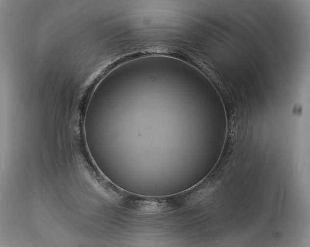 X0000113050347200908271536