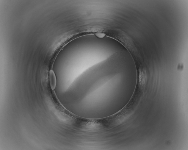 X0000113050348200908271536