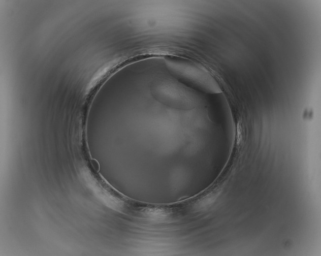 X0000113050349200908271536