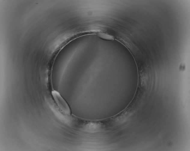 X0000113050350200908271536