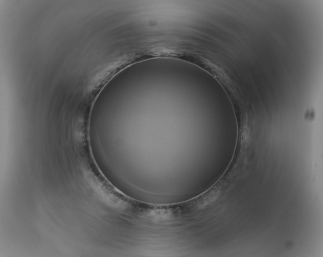 X0000113050353200908271536