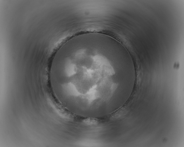 X0000113050354200908271536