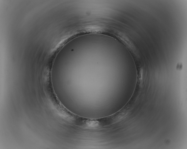 X0000113050355200908271536