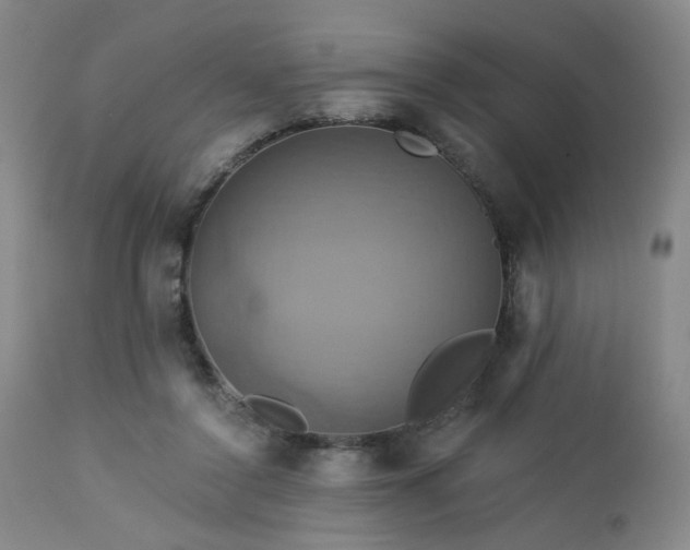 X0000113050356200908271536