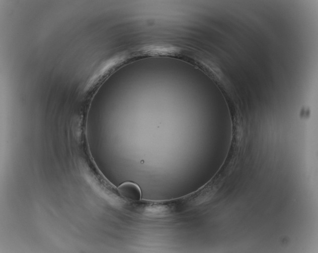 X0000113050357200908271536