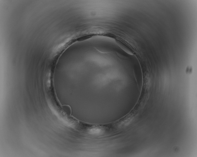 X0000113050358200908271536